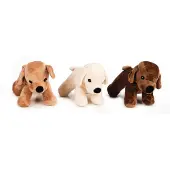 Beeztees Plush Dog Asco Hundleke Assortert