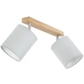 Britop Downlight Corralee, grå, 2 lyskilder