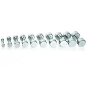 Gymstick Pro Chrome 6kg Unit Hantel