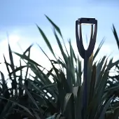 LES JARDINS LED-solcellelampe Tulip med jordspyd, antrasitt