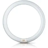 Philips G10q 22W 865 lysstoffring Master Circular TL-E