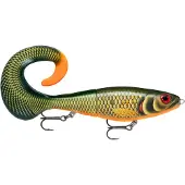 Rapala X-Rap Otus 25 cm Scaled Roach (SCRR)
