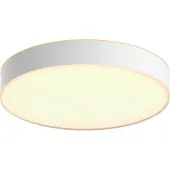 Philips Hue Enrave, Stor Taklampe - White Ambiance