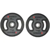 FINNLO 25kg Vektplate 2 Enheter
