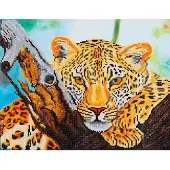 Diamond Dotz 46 x 36 cm - Leopard