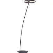 Paul Neuhaus Titus LED-gulvlampe antrasitt dimmer