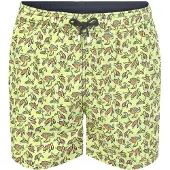 Hackett Sea Turtles Badebukse