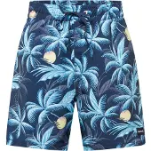 Hurley Cannonball Volley 17´´ Badebukse