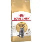 Royal Canin FBN British Shorthair Adult dry cat food - 10 kg