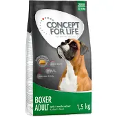 Concept for Life Boxer Adult - 12 kg
