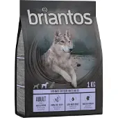 Briantos Adult And & Potet - Kornfri - 4 x 1 kg