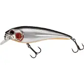 Westin RawBite 17 cm Low Floating Steel Sardine