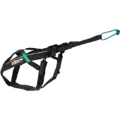 Non-Stop Dogwear Freemotion Harness, 4