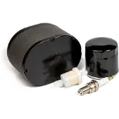 Briggs&Stratton drivstoffilter