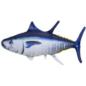 Gaby The Atlantic Bluefin Tuna Medium-pute