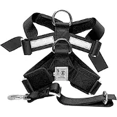 MimSafe Hundesele Allsafe - Medium