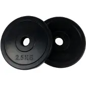 Tunturi Rubber 2.5kg Vektplate 2 Enheter