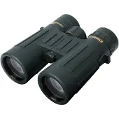 Steiner Observer 10x42 kikkert