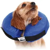 Kvp Kong Cloud Hundehalsbånd