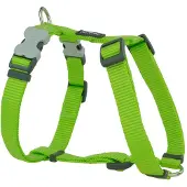 Red Dingo Smooth Hundesele