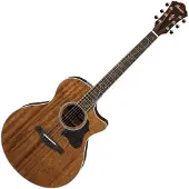 Ibanez AE245 Natural High Gloss