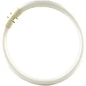 Philips 2GX13 60W 840 sirkellysrør Master TL5