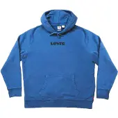 Levi's Unisex T2 Standard Graphic Hettegenser