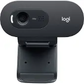 Logitech C505e - Nettkamera - farge - 720p - fastfokal - lyd - USB