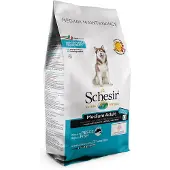 Schesir Sparesett! 2 x 12 kg Dog Dry Dry Medium/Large - Voksen vedlikeholdsfisk