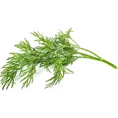 Click and Grow Smart Garden Refill 3-pack - Dill