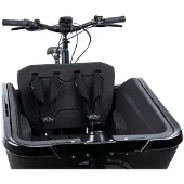 Cube Cargo Safety Belte