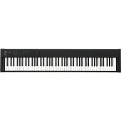 Korg D1 Digital Piano Package Black