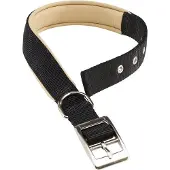 Ferplast Nylon Daytona C 25 Mm 53 Cm Hundehalsbånd