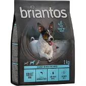 Briantos Adult Mini laks og potet – KORNFRI - 12 kg