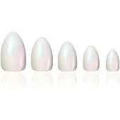 DUFF Beauty Glazed Donut, Medium Almond Glazed Donut, Medium Almond