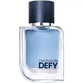 Calvin Klein Defy Eau De Toilette Men 50 ml