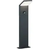 TRIO LED-sensor-veilampe PEARL, høyde 50 cm antrasitt metall IP54