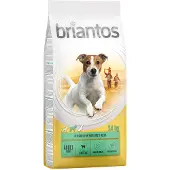 Briantos Adult Mini Lam & Ris - 4 x 1 kg