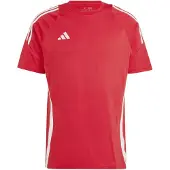Adidas Tiro24 Sweat Kortarmet T-skjorte