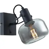 Steinhauer Glaslic vegglampe, røykgrå, 1 lyskilde, glass, metall