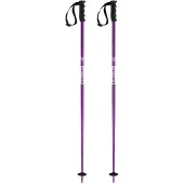 Faction Prodigy 125 2023 Staver