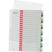 Leitz Cosy 1-20 register for PC utskrift