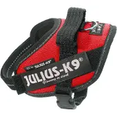 Julius-K9 K9 IDC sele, str.: Mini-Mini, rød 40-53 cm
