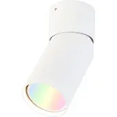QAZQA Smart spotlight hvit justerbar inkl. Wifi GU10 - Falo