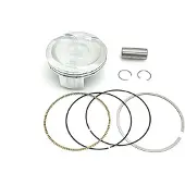 ProX Beta Rr 390 15-23 B Ref:01.7365.b Stempelsett