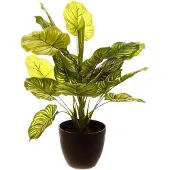 Atmosphera Jj3031 Blomsterpotte