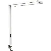 MAUL LED-klemmelampe MAULsenja, hvit, aluminium, dimbar, sensor, CCT