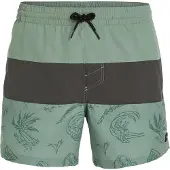O'Neill Mix & Match Cali Block 15'' Boardshorts grønn