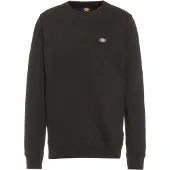 Dickies Oakport Genser svart