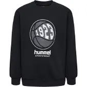 Hummel Loksi Collegegenser
